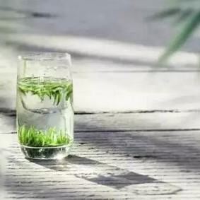 Using the Wrong Container Wastes Tea!