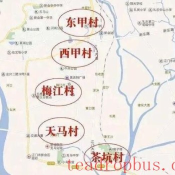 How to Distinguish the Authenticity and Quality of Xinhui Citrus Peel?