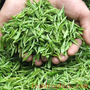 Fuding Green Tea
