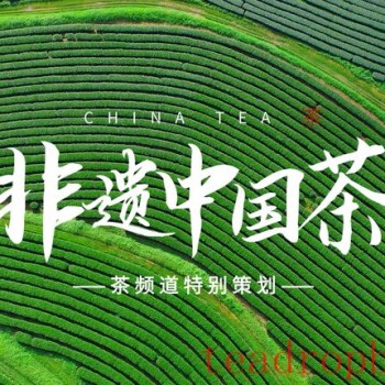 Intangible Cultural Heritage of China: Fuding White Tea Production Technique