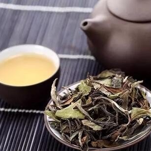 White Tea Storage Requires Attention, Differences Between North and South