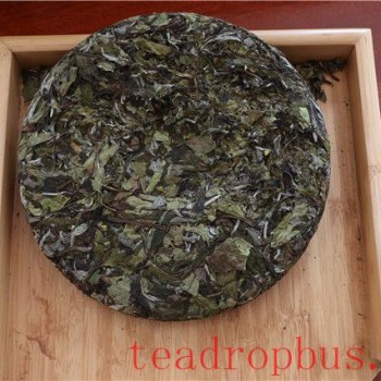 How to Store White Tea? A Home Storage Guide for White Tea