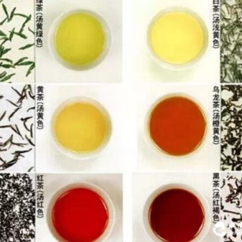 The Six Major Classifications of Tea and Their Production Methods