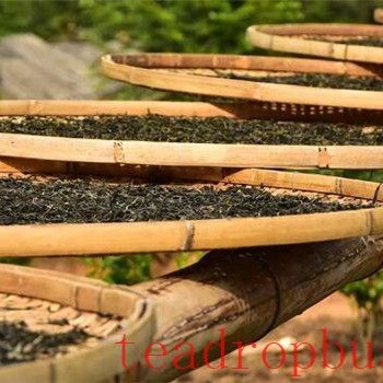 Caution Against Unorthodox Changes in Tea Processing: Low-Temperature Withering and Aroma Shaking