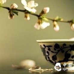 Do you know which tea is best to drink in winter?