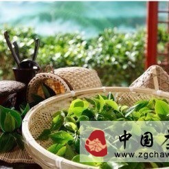 100 Questions on Chinese Tea Knowledge (Questions 21-40)