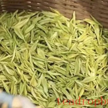 What is Mogan Yellow Bud Tea?