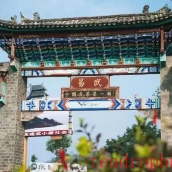 Tea Fragrance of Xishuangbanna: Dingjiazhai in Yiwu