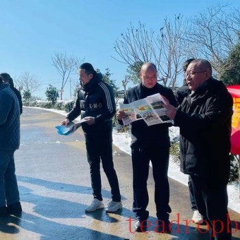 Fuding Tea Technicians Provide Cold Protection Advice in Tea Gardens