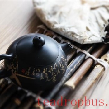 Why is Old Tea Known as the &quot;King of Stomach Nourishment&quot;?
