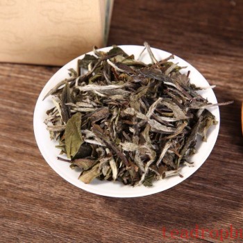 How to Perfectly Brew Bai Mudan (White Peony) Tea: Steps You Need to Know