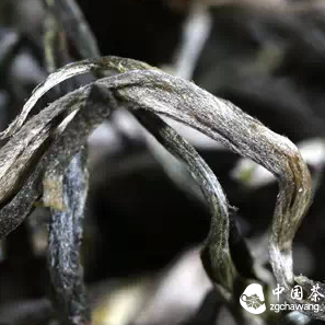 How to Identify Pu-erh Tea with the Naked Eye?