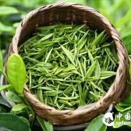 China's Six Major Tea Categories: Each with Unique Health Benefits