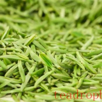 Dongting Biluochun: Pre-Equinox, Pre-Ming, or Pre-Grain Rain—Which Is Better and Which Should You Buy?