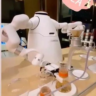 Chinese Tea and Tea Cups Gain Popularity at the Winter Olympics