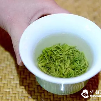 Tea Also Has "Fresh and Delicate" and "Hard and Strong" Types: Tea Knowledge You Didn't Know