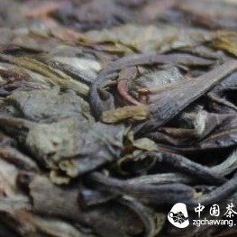 Why Does Pu'er Tea Have a Bitter Taste