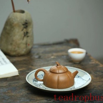 Six Common Myths About Purple Clay Teapots