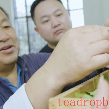 Chen Quanfu, Inheritor of the Intangible Cultural Heritage for the Making Skills of Liuan Huangda Tea