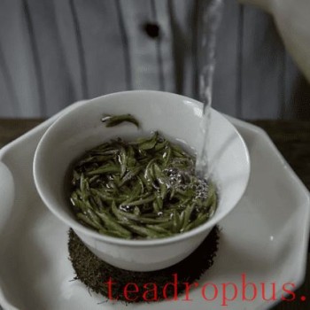 How to Brew White Tea? A Comprehensive Guide