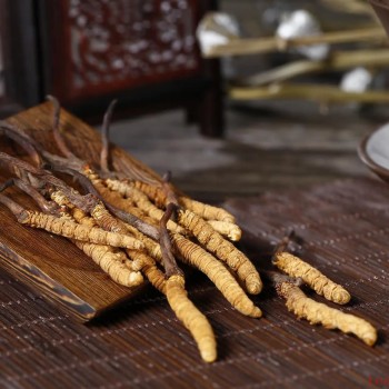 Cordyceps Tea: How Many Stems to Use? A Detailed Guide on Brewing Cordyceps Tea