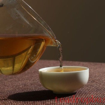 The Eight Benefits of Tea You Should Know About