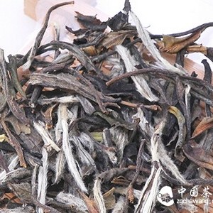 The Difference Between Aged White Tea and New White Tea