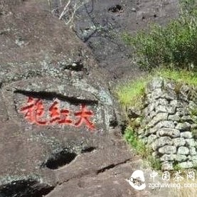 The Three-Character Guide to Savoring Wuyi Rock Tea