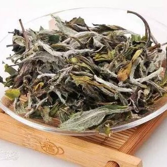 Ten Things About White Tea, How Many Do You Know?