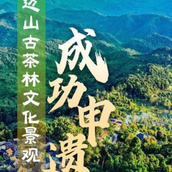 A Series of Posters Introducing the World Cultural Heritage Site: "The Ancient Tea Forest Cultural Landscape of Jingmai Mountain in Pu-er"
