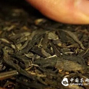 What are the advantages of ancient tree Pu-erh tea?