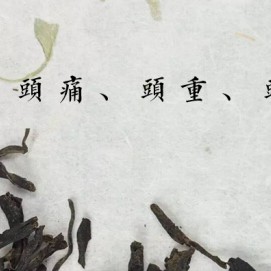 [Four Flavors Hermit · Talking about Liubao] Headache, Heaviness in the Head, Dizziness, and Dampness