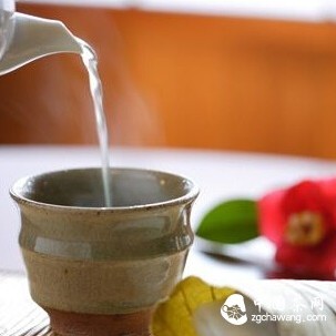 5 White Imperata Root Health Teas to Help You Dispel Heat and Detoxify