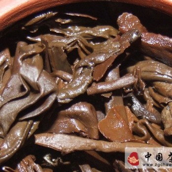 Illustrated Guide: Analysis and Comparison of Pu-erh Tea Leaves (Part 2)