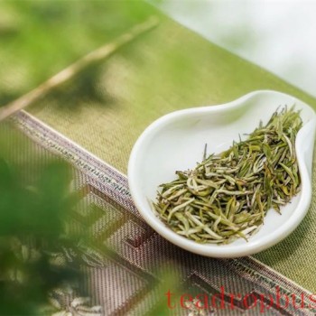 How to Brew Tea for the Best Flavor? Master These 4 Key Tips and Become a Tea Brewing Expert!