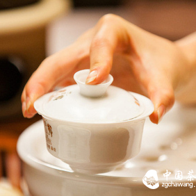 Tea Tasting: Why Can't You Ever Recapture the Flavor of the Last Cup?