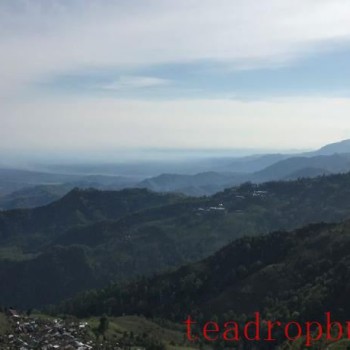 Darjeeling: What to Expect from the World’s Most Exquisite Tea