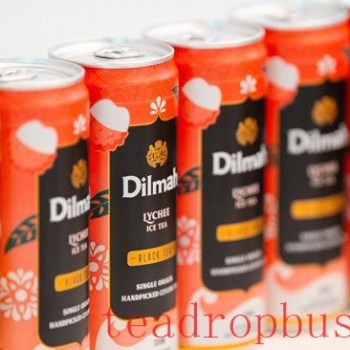 Sri Lanka Rapidly Shifts Toward RTD Tea and Re-Exports