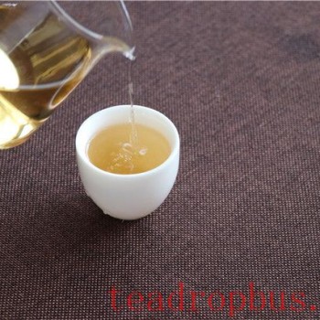 A Millennium Dream Traversed by the Fragrant Tea, Weaving Lives Across Time