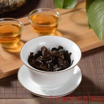 The Storm of Authenticity and Deception in the World of Aged White Tea