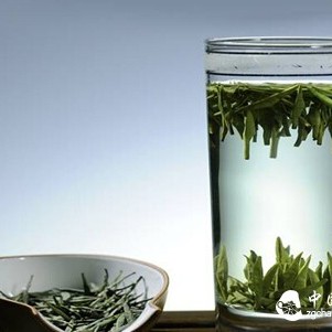 The 'Six Major Representatives' in the Tea World