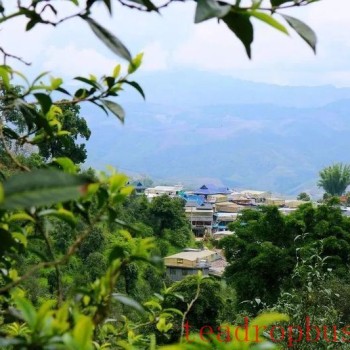 Tea-Aromatic Xishuangbanna: The Famous Pu-er Mountain of Man Nuoy
