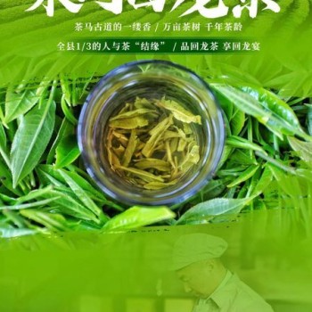 Lianghe Hui Long Tea: A Toast to the Millennium Mist of the Ancient Tea Horse Road
