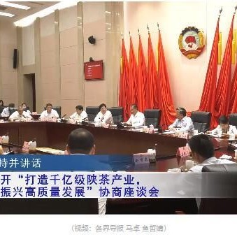 The Shaanxi CPPCC convenes a consultative symposium on "Building a Billion-Dollar Shaanxi Tea Industry to Support High-Quality Rural Revitalization"