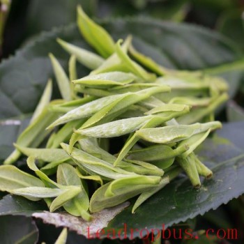 Huangshan White Tea
