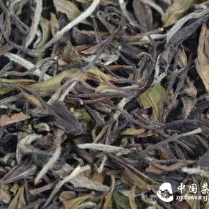 Must Old Tea Be Good Tea? Gained Knowledge