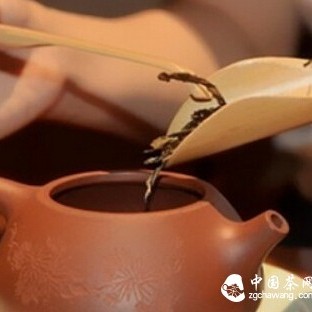 Pharmacological Effects of Tea