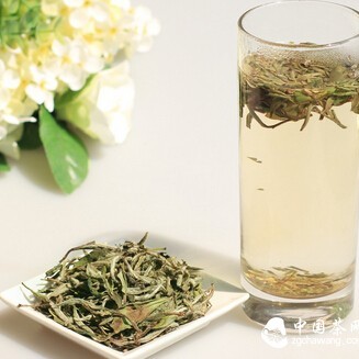 Do You Know How Powerful White Tea Is?