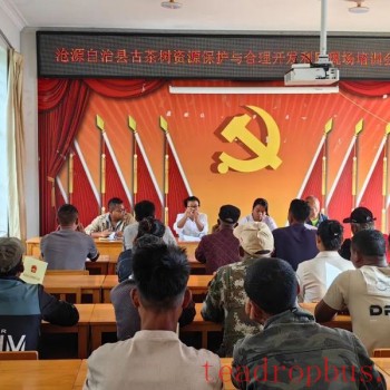 Nuoliang Township: Firing the First Shot in the Integration of Primary, Secondary, and Tertiary Sectors for Ancient Tea Trees