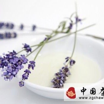 Discussing the Efficacy, Functions, and Contraindications of White Tea